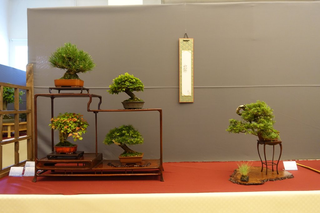 DSC07288.JPG