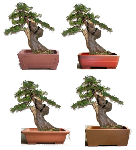 tax_pot_s.jpg