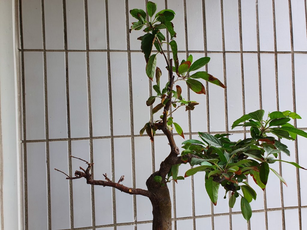 2019-09-04 16.21.40.jpg