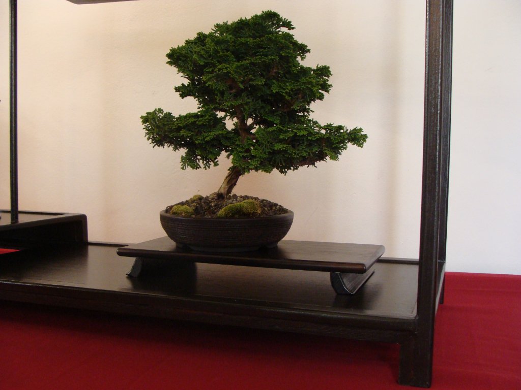DSC04810.JPG