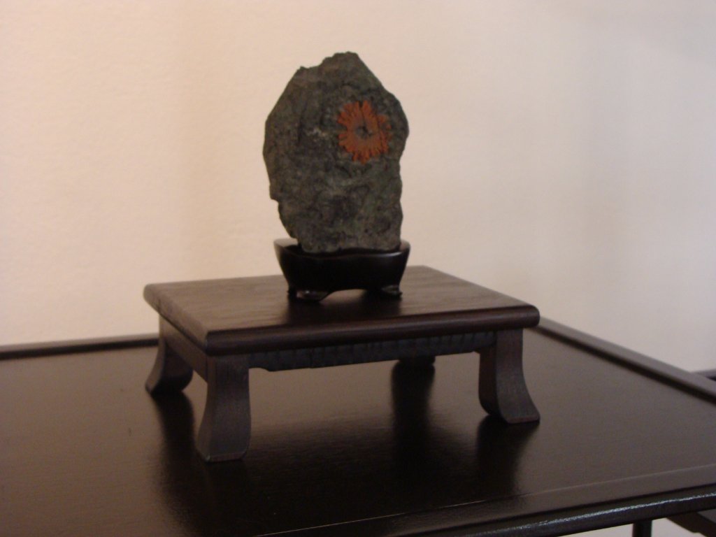 DSC04815.JPG