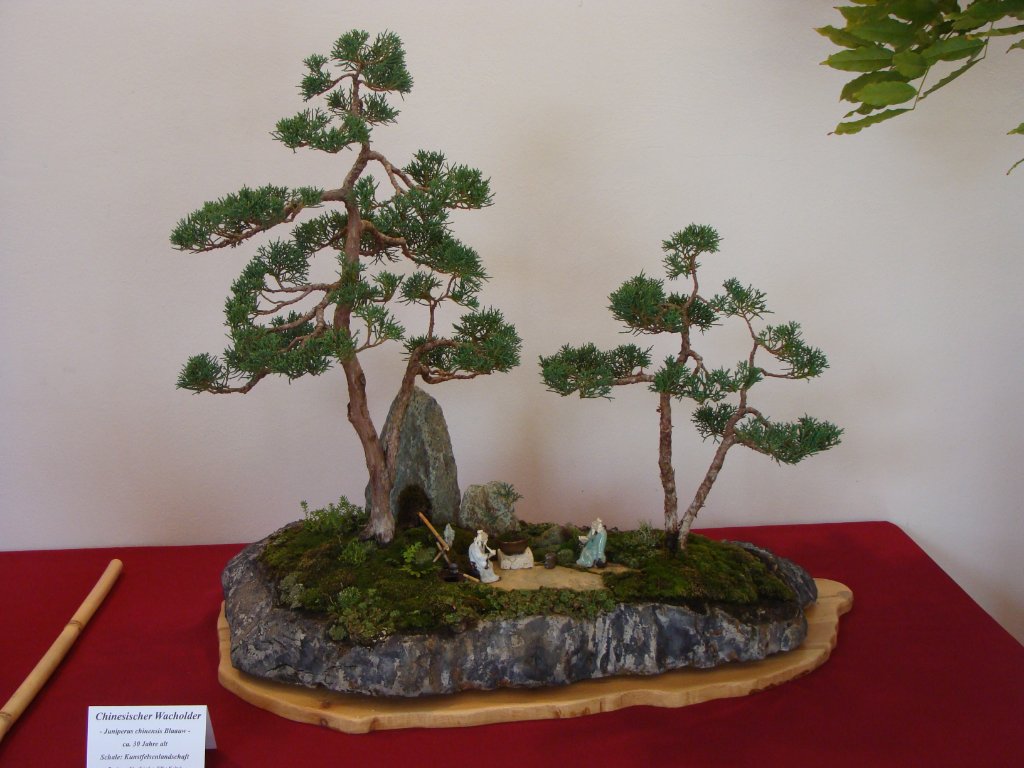 DSC04834.JPG