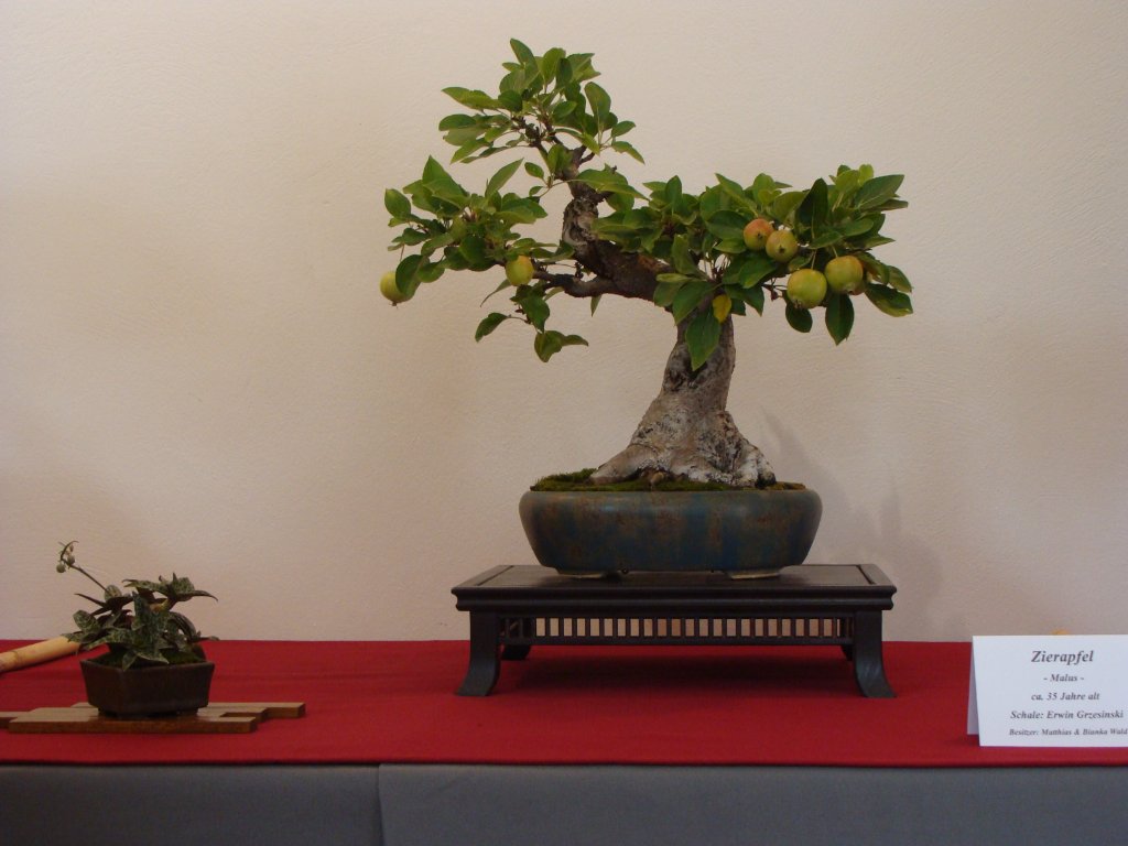 DSC04837.JPG