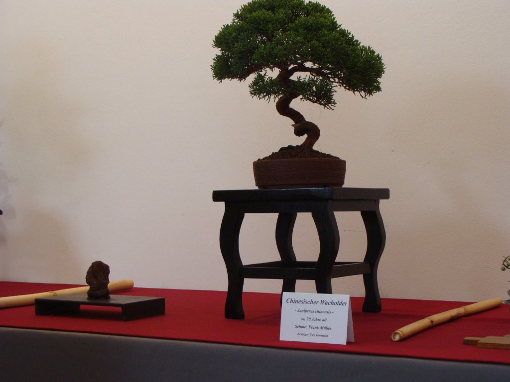 DSC04838.JPG