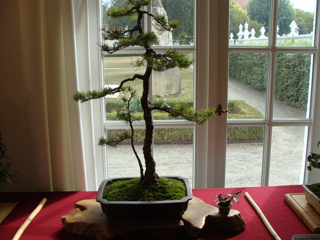 DSC04853.JPG