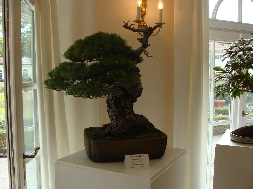 DSC04863.JPG