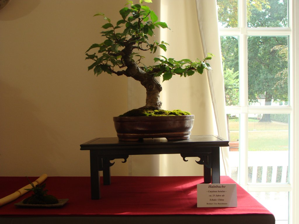 DSC04867.JPG
