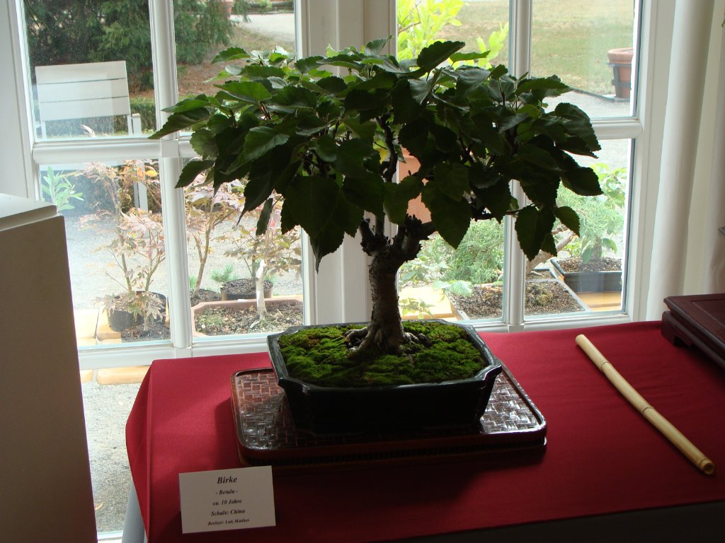 DSC04870.JPG