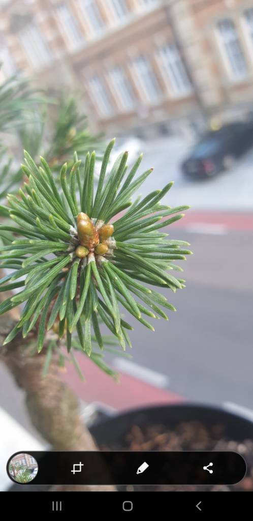 Screenshot_20190916-175919_Gallery.jpg