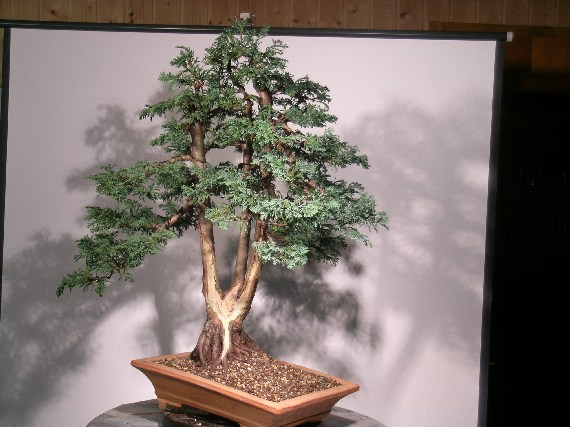 DSCN1686.jpg