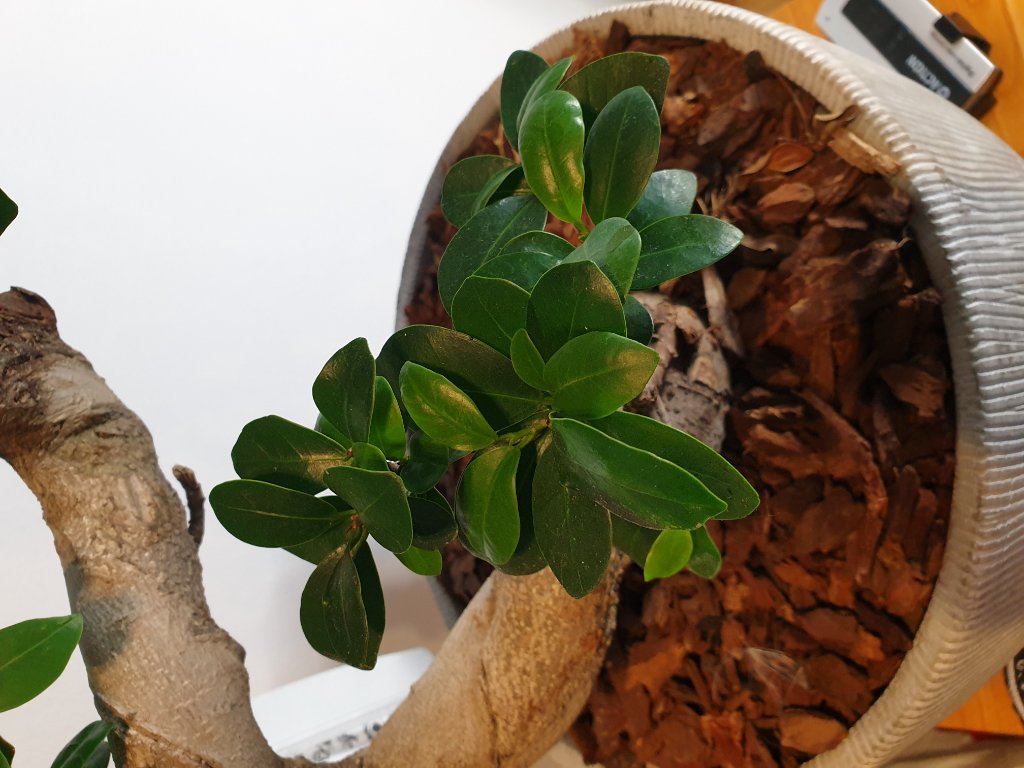 20190919_184121.jpg