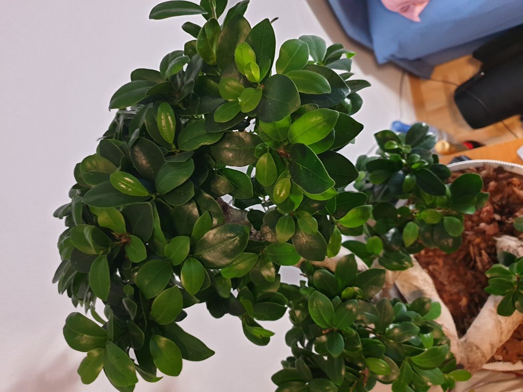 20190919_184150.jpg