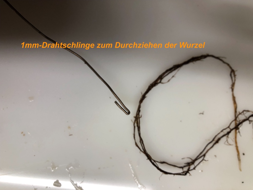 2019-09-15 -3 .jpg