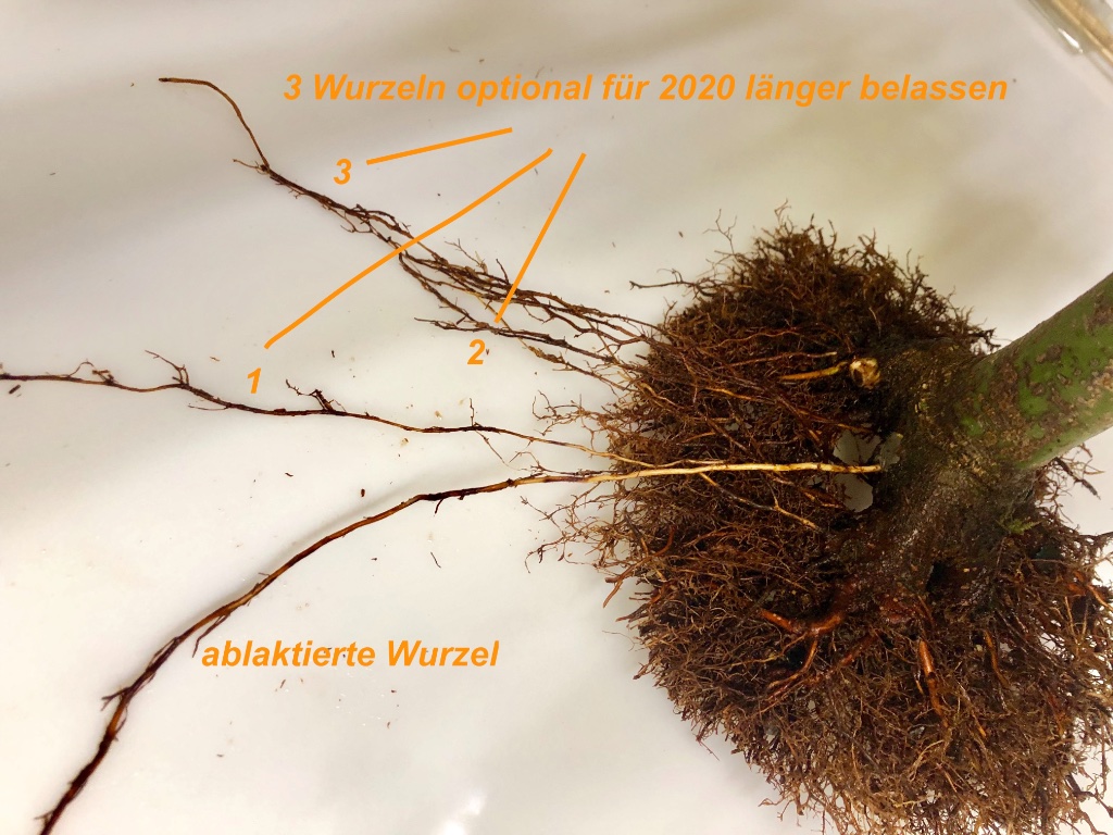 2019-09-15 -6.jpg