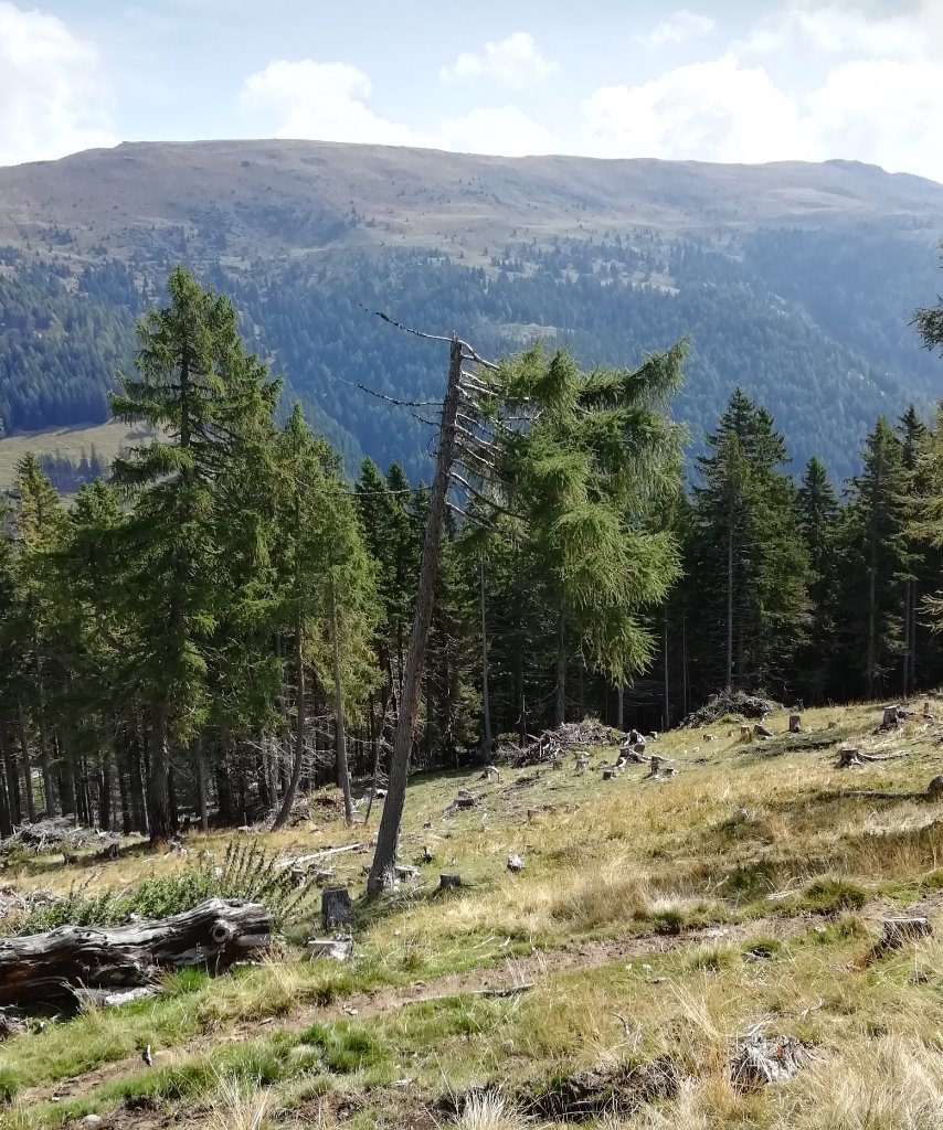 auf dem Weg zur Alexanderhütte  - 9.jpg