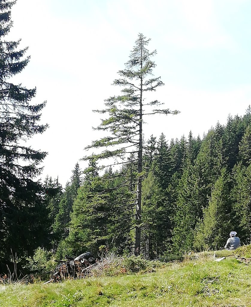 auf dem Weg zur Alexanderhütte - 1.jpg