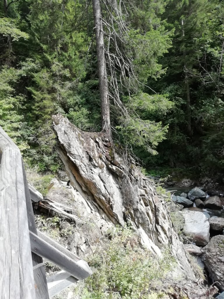 Baum auf Felsen in einer Schlucht mit Bach.jpg
