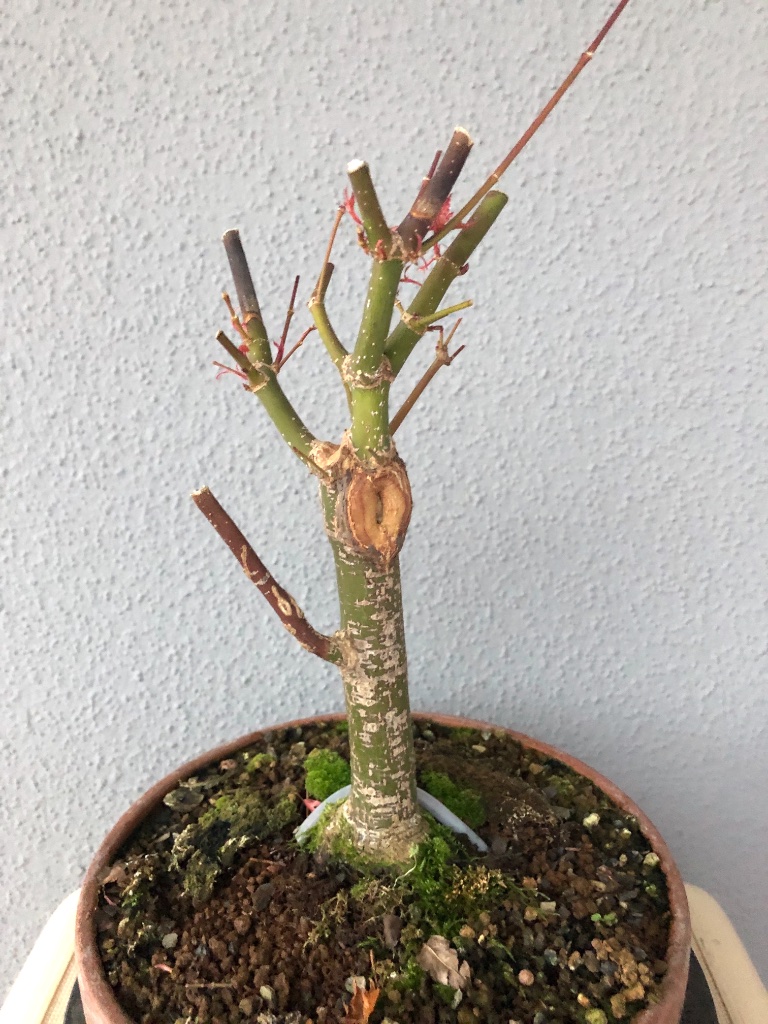 Jan 2019