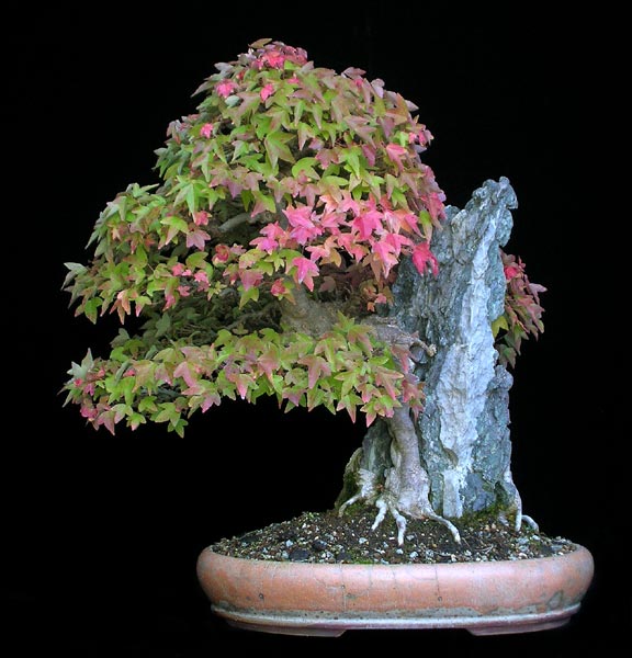 1016200616DreispitzFelsen.jpg