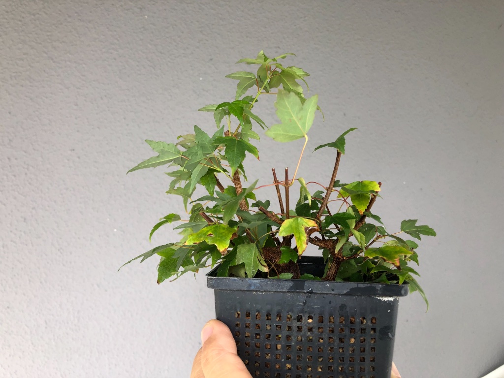 2019-09-26 -2.jpg