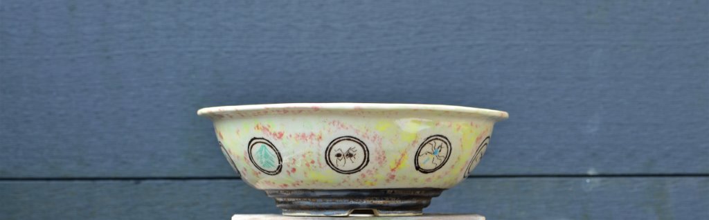 23 x 8 Cm