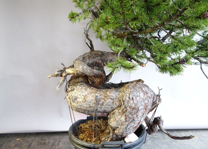 Drehungen
