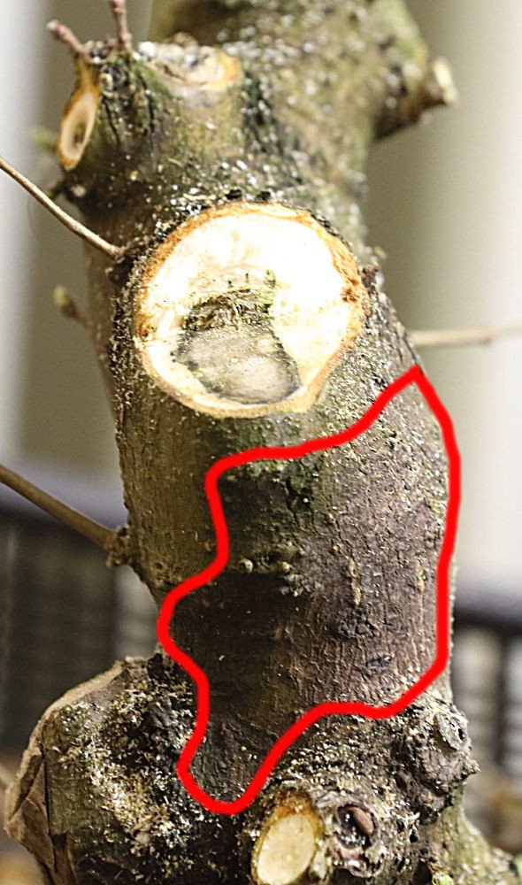 file-2.jpg