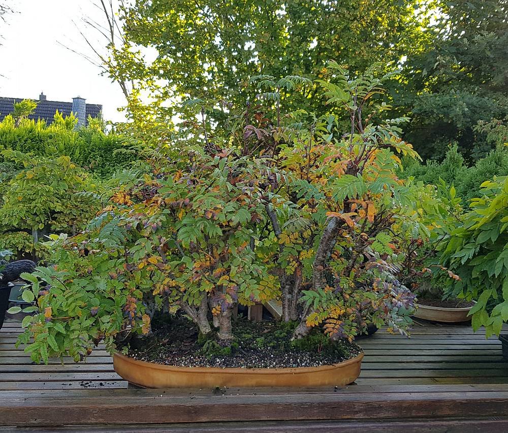 20191002_094052-1.jpg