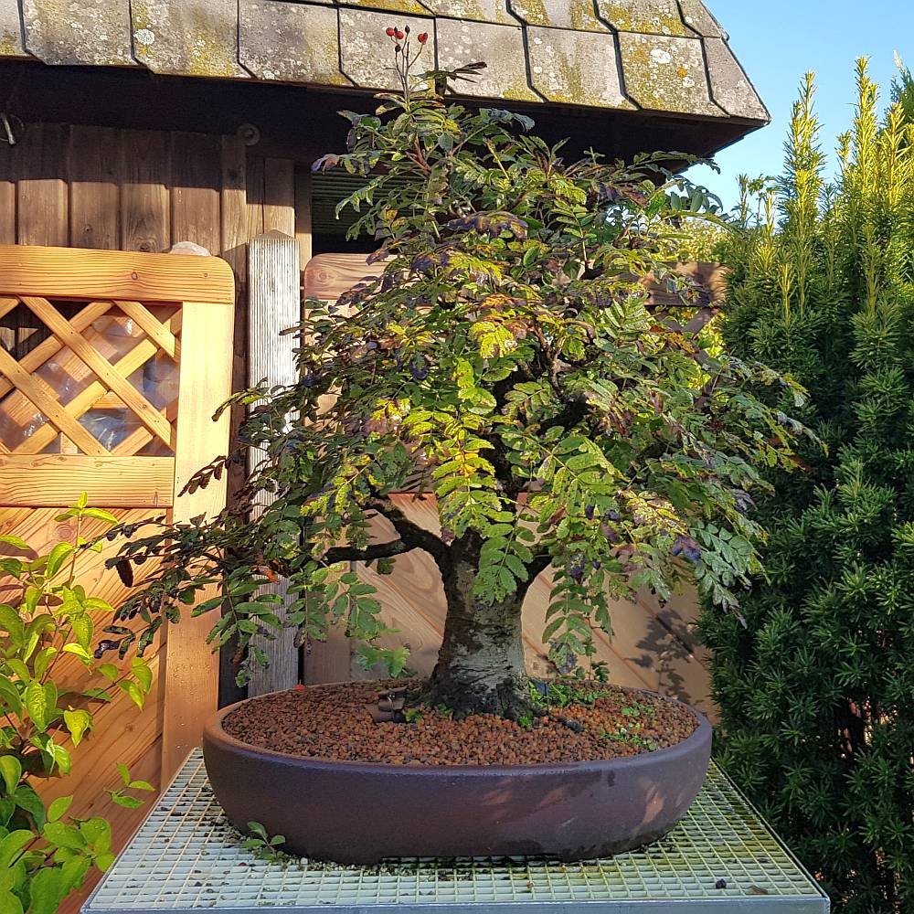 20191002_094300-1.jpg
