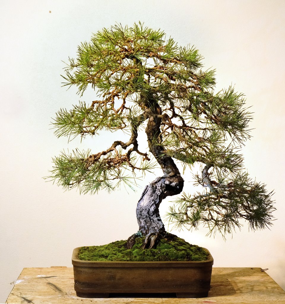 DSCF6757.jpg