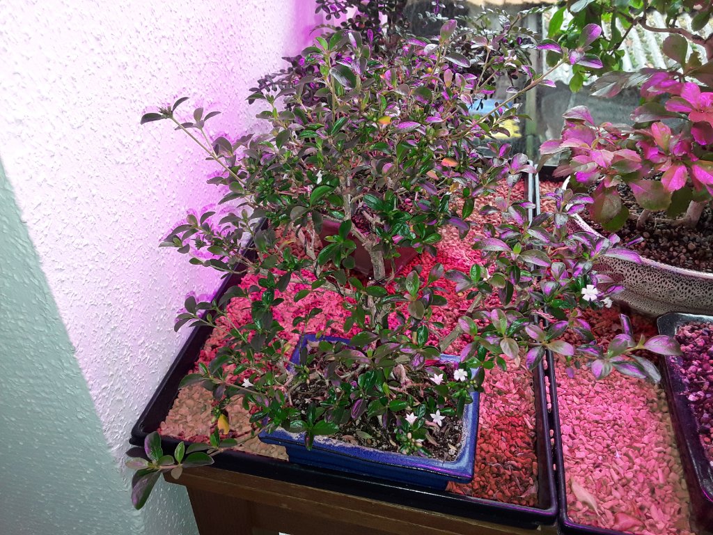 20191006_155135.jpg