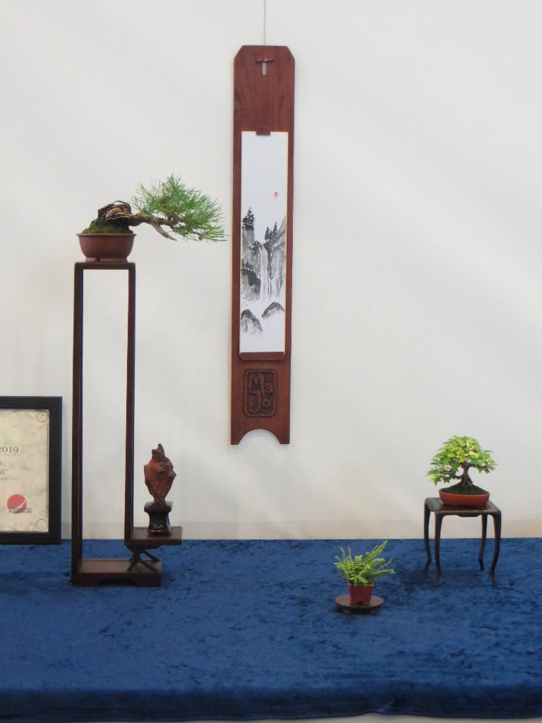 "Shohin Siggi" - 1. Sieger