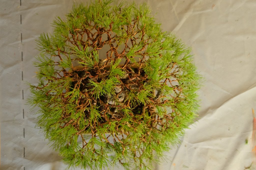DSCF6828.JPG
