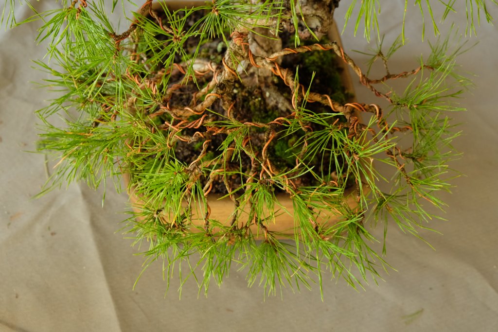 DSCF6829.JPG