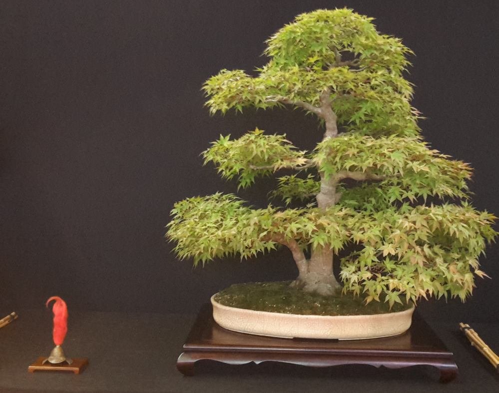 Ist ein Beni Chidori. Fand ich toll. Ob ich den Beisteller so gewählt hätte? Glaube eher nicht. Jeder nach seinem Geschmack