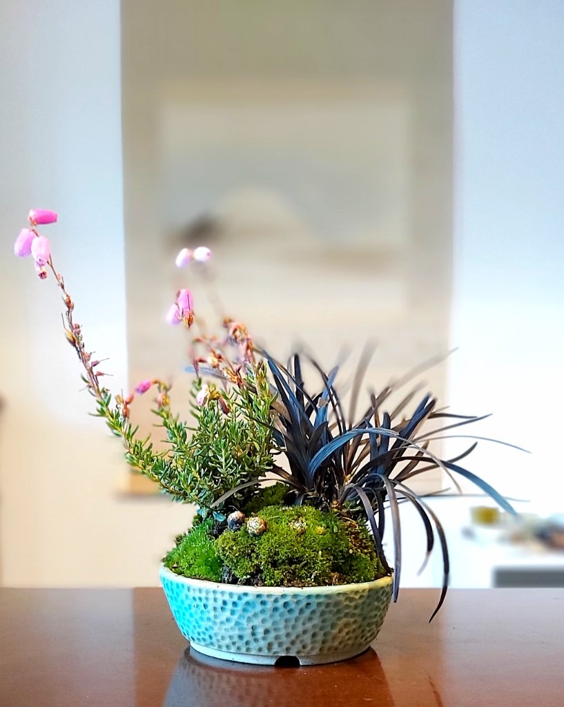 20191012_144823.jpg