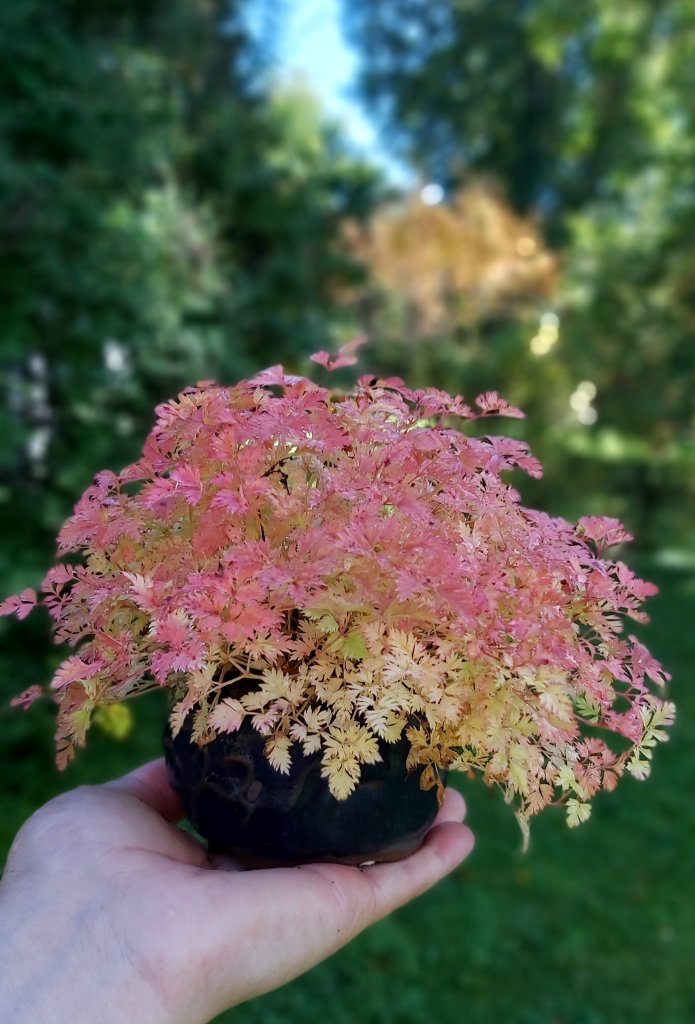 20190929_131644.jpg