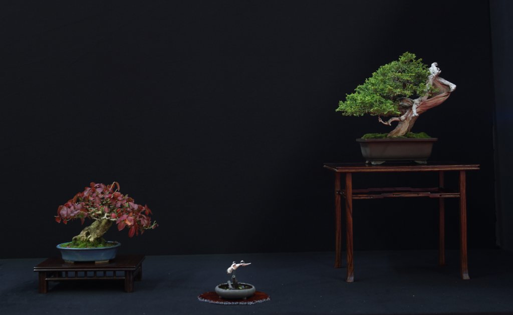 Irgendwie scheint die große Zeit der Sabina-Wacholder vorüber zu sein. Hier ein Exemplar mit etwas struppigerem Laub (von der Sorte steht auch eines in unserem Garten). Schöner Euonymus.