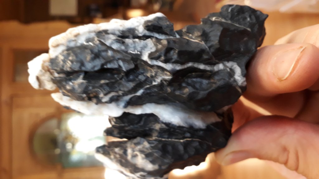 20191017_165835.jpg