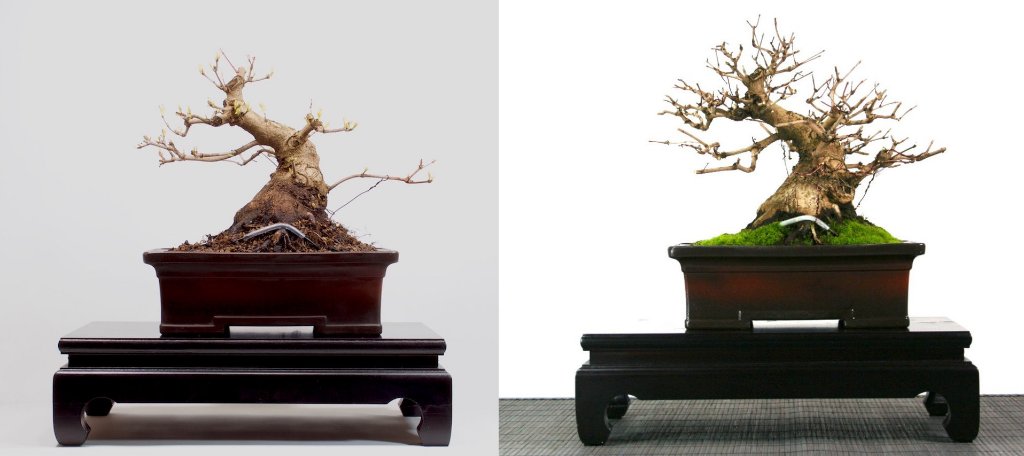 2017-2019