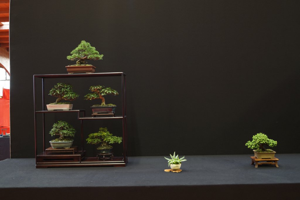 2019-10-12 Saulieu, Shohin-Komposition, Eric Vieren.JPG