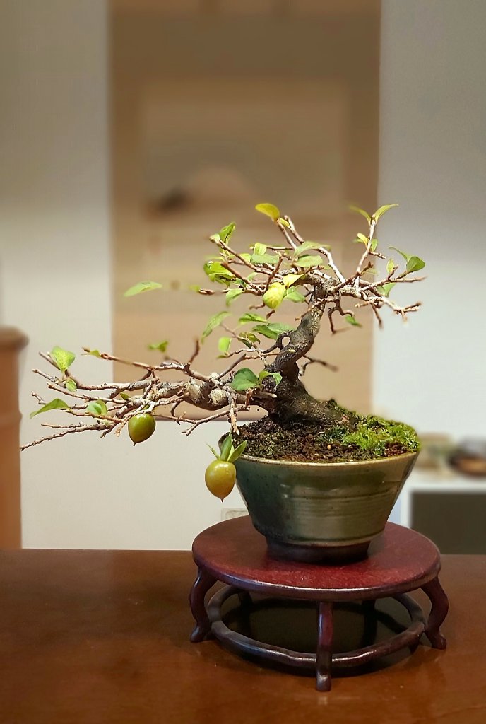 20191022_174338.jpg