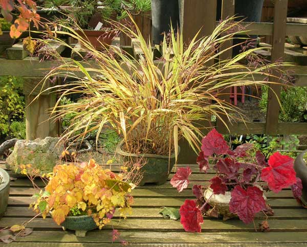 1021200607Herbst-Akzente.jpg