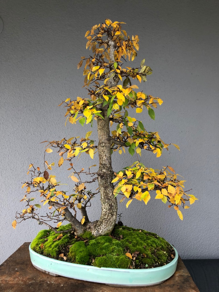 20 Oktober 2019