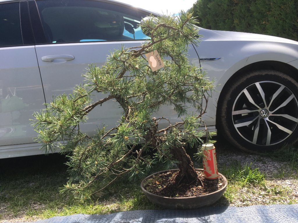 Dieses Bild enstand am 27.04.2019 in Arco, einen Tag nach dem Kauf.