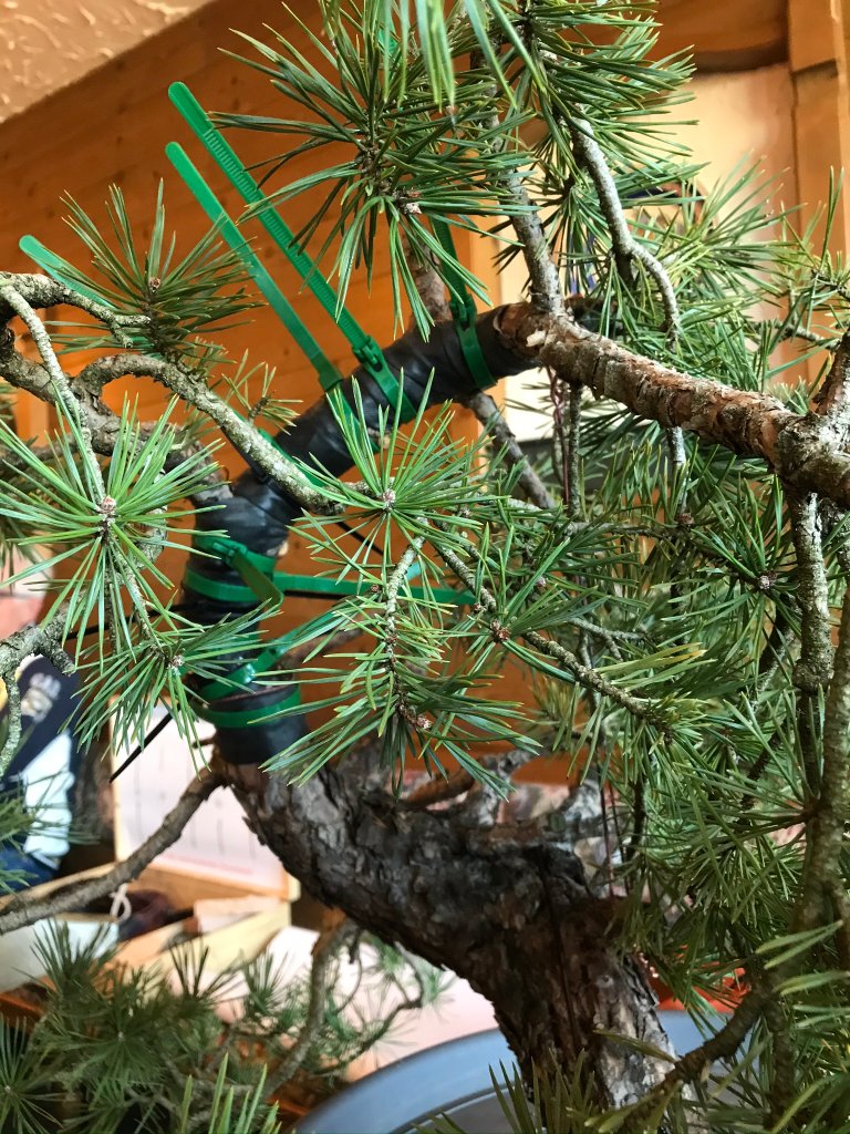 ...etwas Näher :-)