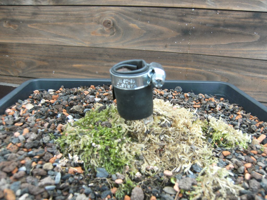 PICT3139.JPG
