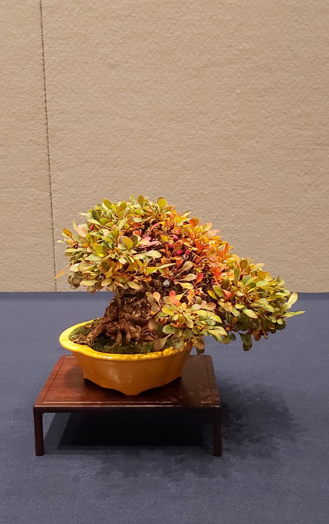 20191102_204915.jpg
