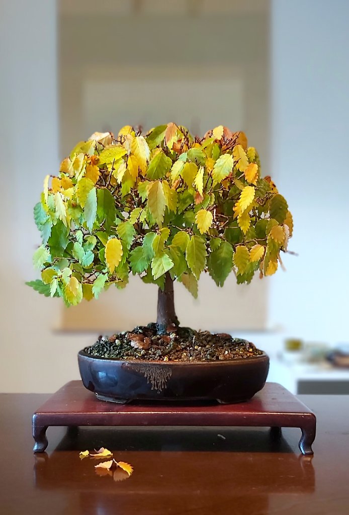 20191027_084649.jpg