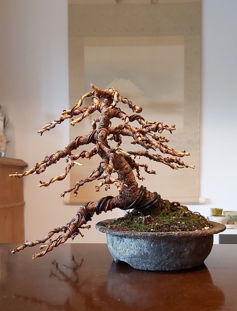 20191020_145119.jpg